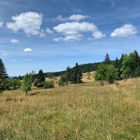 Ubytovani U Mateje Horni Blatna Luaran gambar