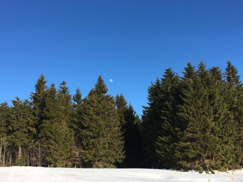 Ubytovani U Mateje Horni Blatna Luaran gambar