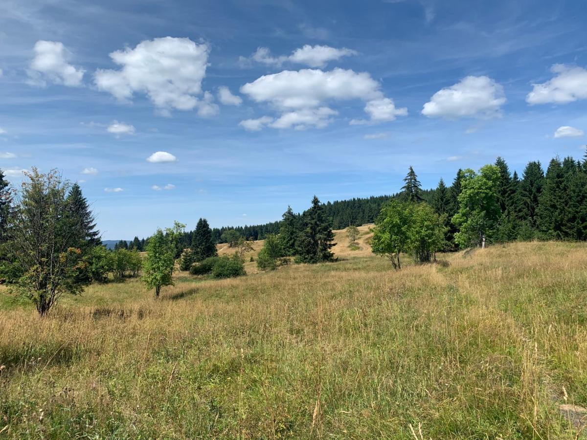 Ubytovani U Mateje Horni Blatna Luaran gambar
