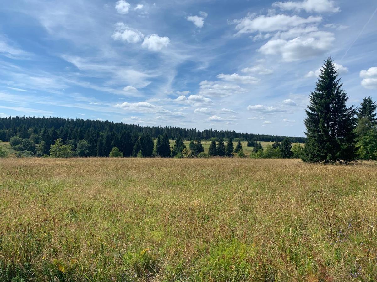 Ubytovani U Mateje Horni Blatna Luaran gambar