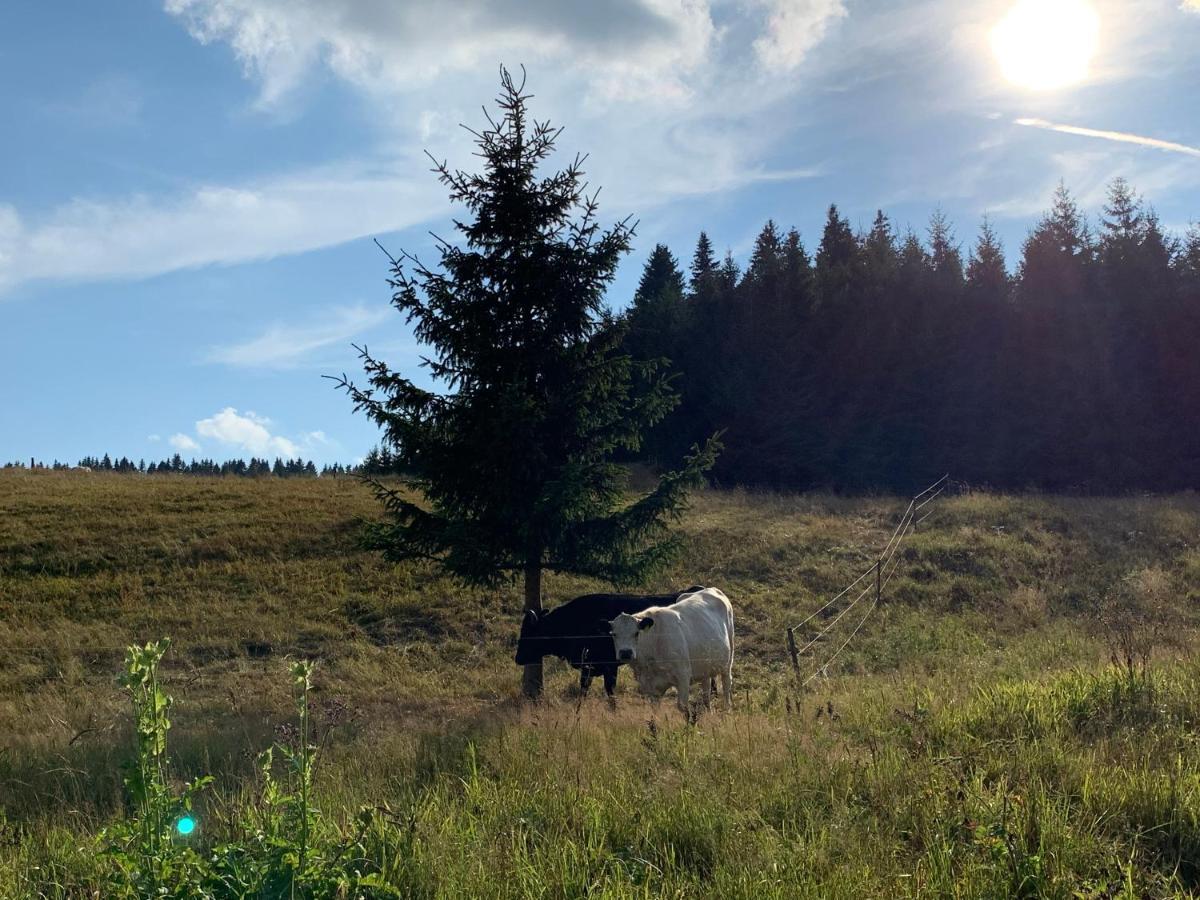 Ubytovani U Mateje Horni Blatna Luaran gambar